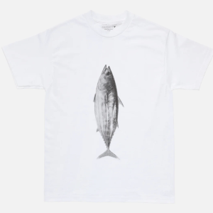 PAPERSKY KAIDO T 系列  ｜鰹魚之路